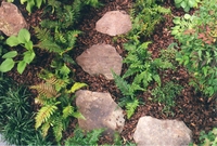 Detail of stepping stones and shade plantings.