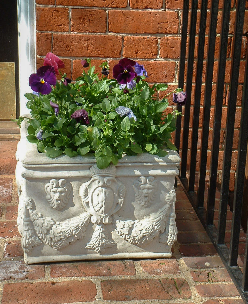 A simple planting of pansies in spring. : Annual Rotations : CITYSCAPES® Landscaping LLC