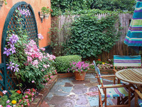 The use of vertical spaces gives opportunity to add more color and texture to this pocket patio garden.