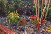 Xeriscape plantings work well in a narrow space.
