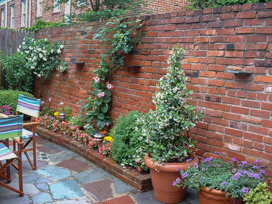 At the other side of the garden, climbing roses  have begun to take hold. : Garden Details : CITYSCAPES® Landscaping LLC