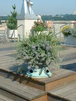 Carefully spaced planters allows lots of open space for entertaining on this NW penthouse rooftop.
