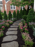 Upper terrace is a perennial bed with a stepping stone walkway.