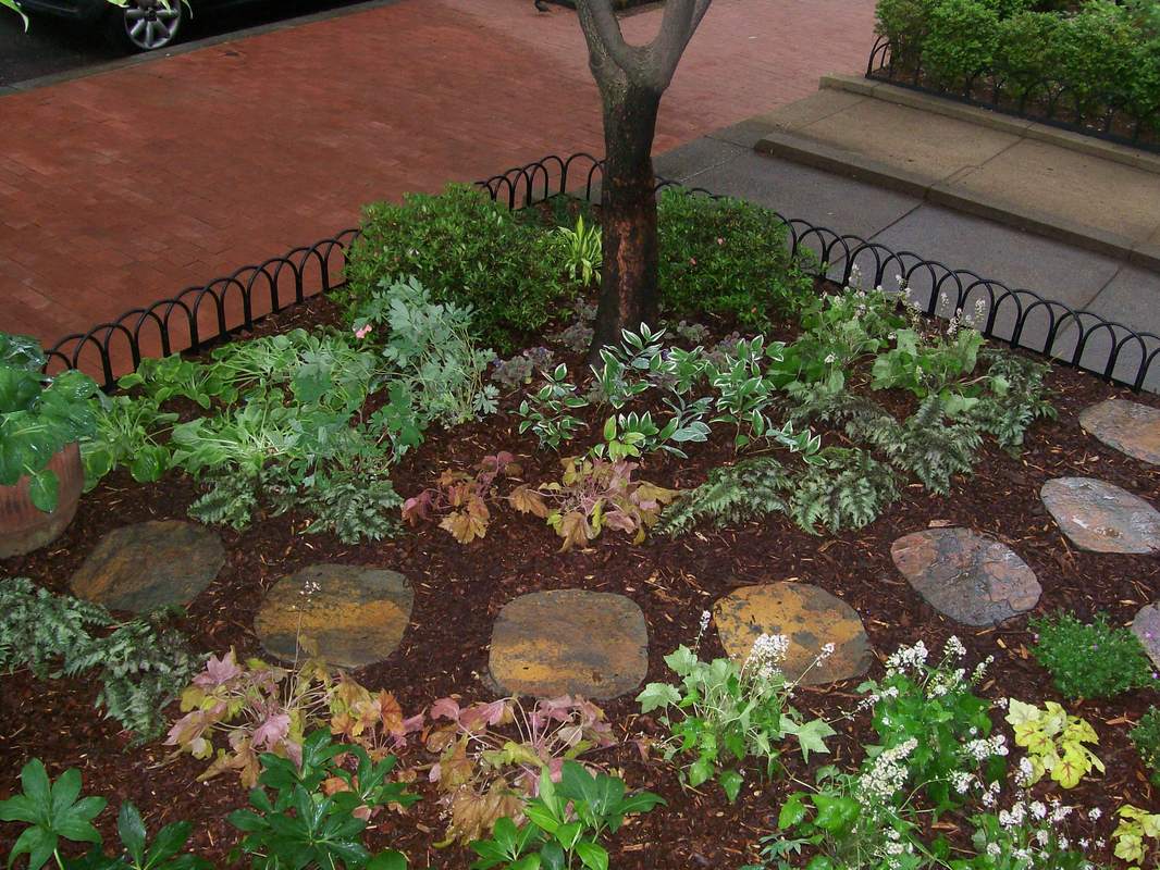Another view of woodland garden in the city. : Front Gardens - Big and Small : CITYSCAPES® Landscaping LLC