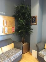 Faux palm in an office waiting room.
