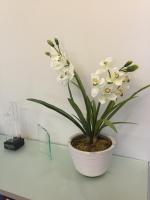 Faux orchid in an office. 
