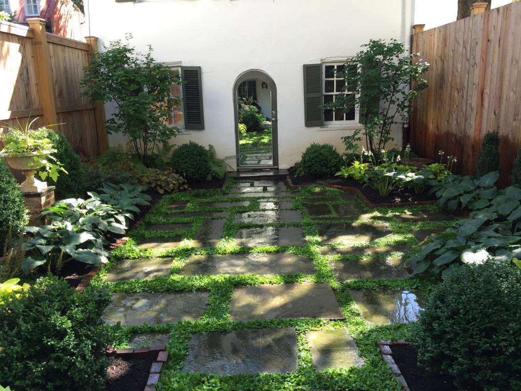 A shady back yard in a Georgetown townhouse. : Georgetown, Capitol Hill, and NW Gardens : CITYSCAPES® Landscaping LLC
