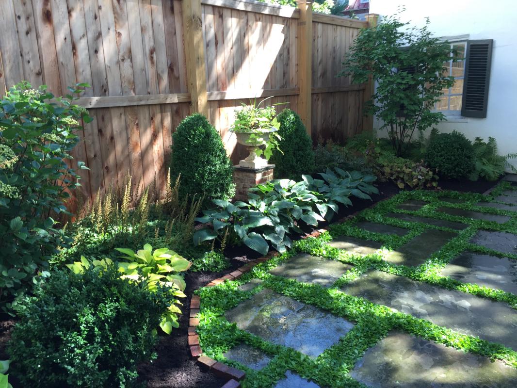 A foliage garden can have lots of texture. : Georgetown, Capitol Hill, and NW Gardens : CITYSCAPES® Landscaping LLC