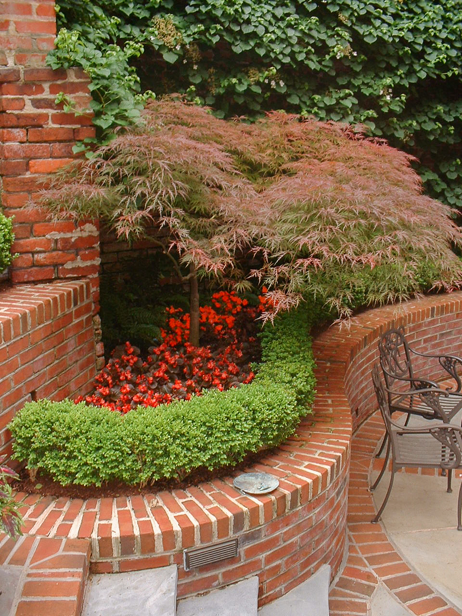 Small corner spaces in your garden need not be dark and boring. : Annuals : CITYSCAPES® Landscaping Inc.