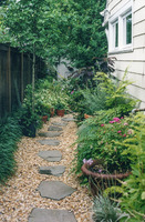 Narrow side gardens needn't be boring!