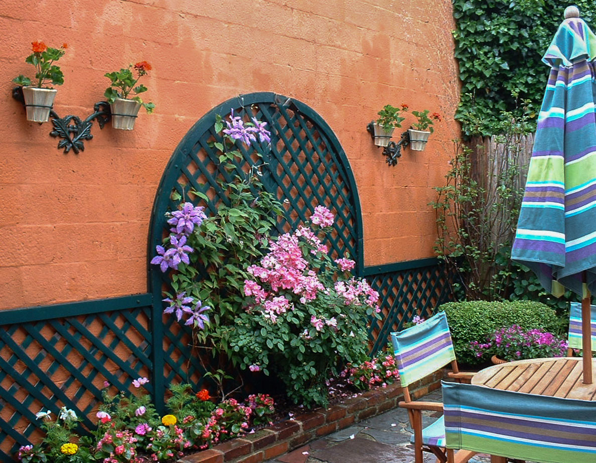  The use of bold color gives impact to a small space. : Garden Details : CITYSCAPES® Landscaping LLC