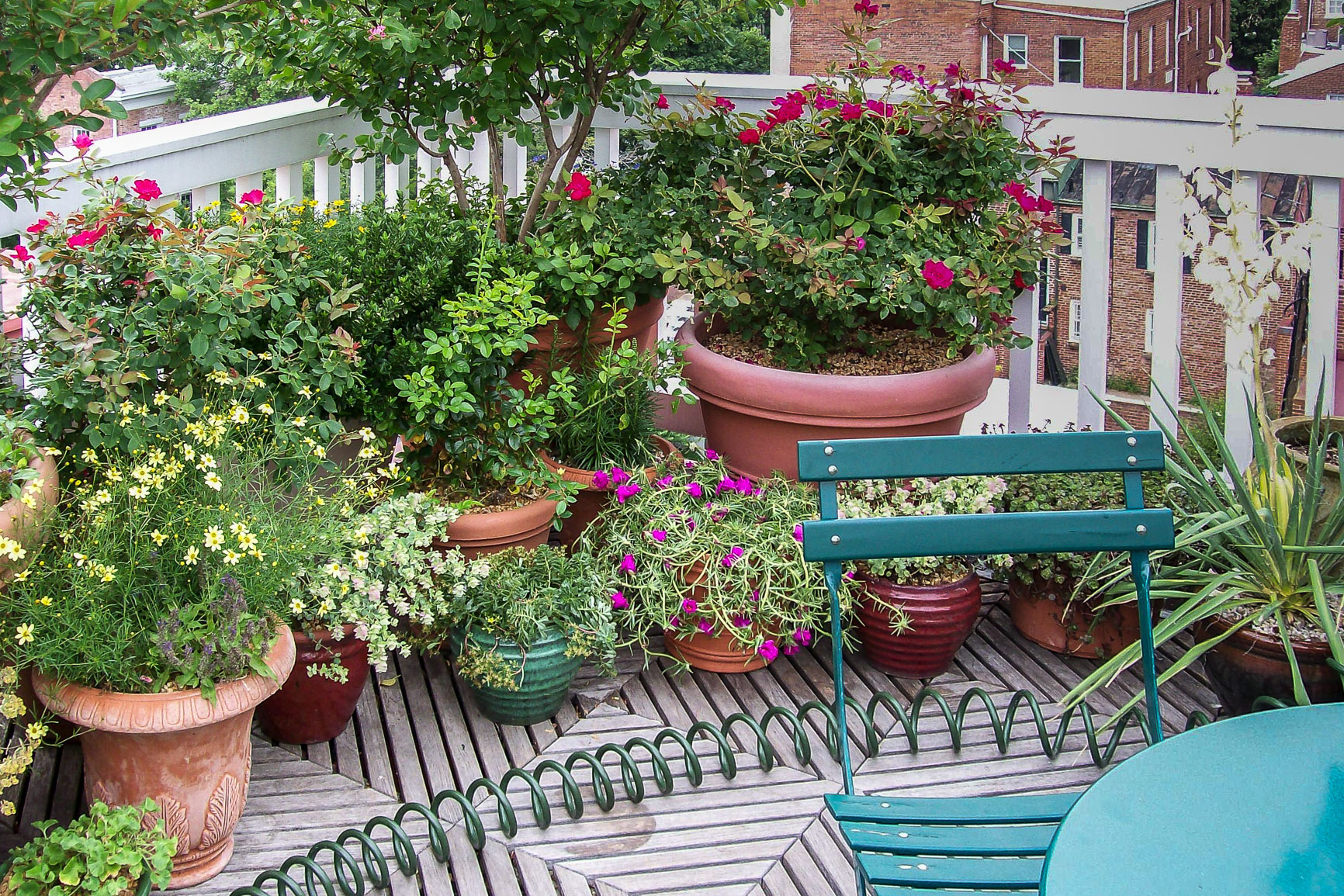 This 'garden' is all about containers! : Rooftop and Balcony Gardens : CITYSCAPES® Landscaping LLC