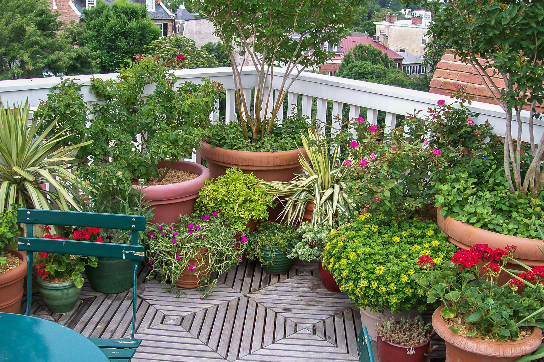 Colorful annuals and other plants in a mix of containers. : Annuals : CITYSCAPES® Landscaping Inc.