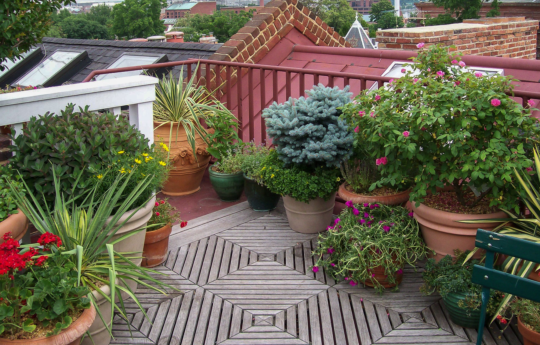 The 'entrance' to the garden, from the stairs, is well-planted and colorful. : Rooftop and Balcony Gardens : CITYSCAPES® Landscaping Inc.