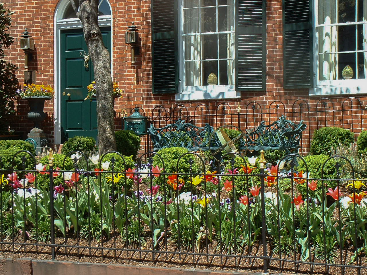 Street view of same garden. : Front Gardens - Big and Small : CITYSCAPES® Landscaping LLC