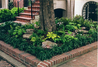 A pocket garden under a magnolia tree.