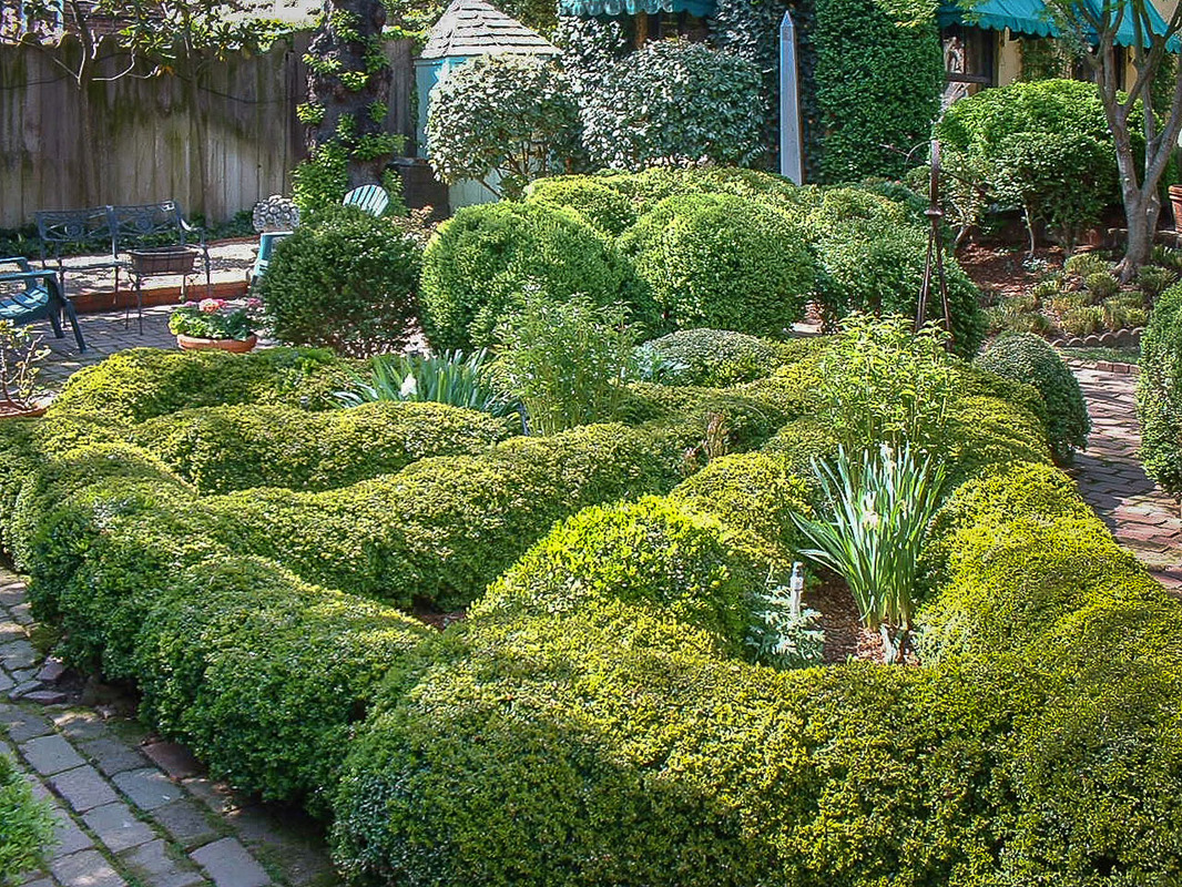 Lush and highly pruned boxwoods. : Maintenance : CITYSCAPES® Landscaping LLC