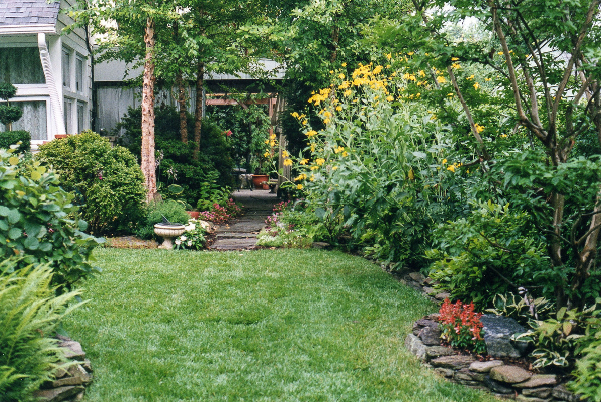 A natural garden in a suburban Silver Spring front yard. : Suburban Gardens : CITYSCAPES® Landscaping LLC