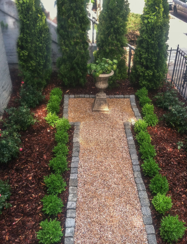 Simple planting of Arborvitae, boxwood and Knock Out Roses for this narrow front garden. : Front Gardens : CITYSCAPES® Landscaping Inc.