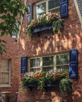 Window boxes with annuals create color where there is no front yard.