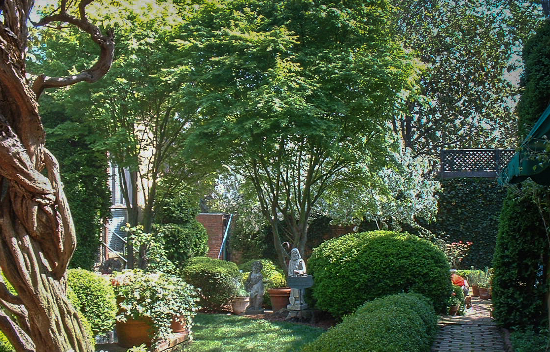 Lots of history in this private Georgetown garden.
 : Georgetown and Capitol Hill Gardens : CITYSCAPES® Landscaping Inc.