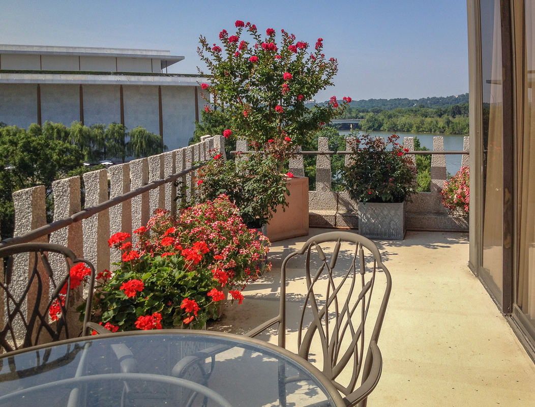 A Watergate balcony garden with stunning flowering annuals and plants. : Rooftop and Balcony Gardens : CITYSCAPES® Landscaping LLC