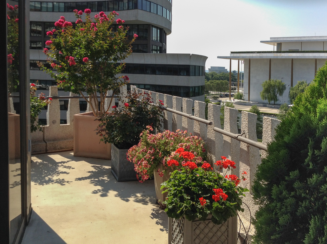 Gorgeous annuals, shrubs and roses soften this large balcony while creating loads of color. : Rooftop and Balcony Gardens : CITYSCAPES® Landscaping LLC