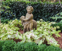 Caladium set off a stone cherub in a green and white front garden.