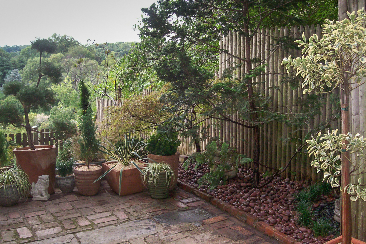 The use of lots of planters gives impact to a small patio. : Georgetown, Capitol Hill, and NW Gardens : CITYSCAPES® Landscaping LLC