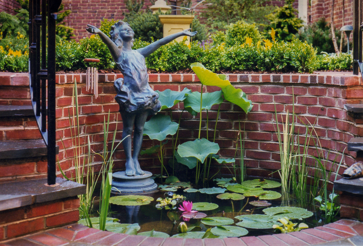A small water feature with tropical aquatic plants can fit into any size garden. : Georgetown and Capitol Hill Gardens : CITYSCAPES® Landscaping Inc.