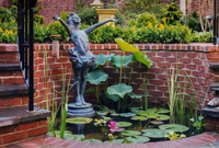 A small water feature with tropical aquatic plants can fit into any size garden.