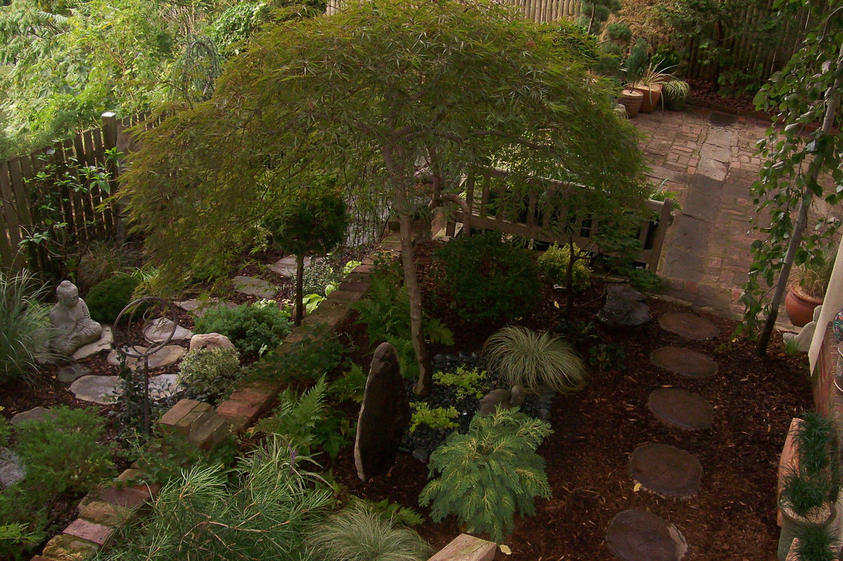 This garden's different 'rooms' are defined by changes in elevation. : Georgetown, Capitol Hill, and NW Gardens : CITYSCAPES® Landscaping LLC