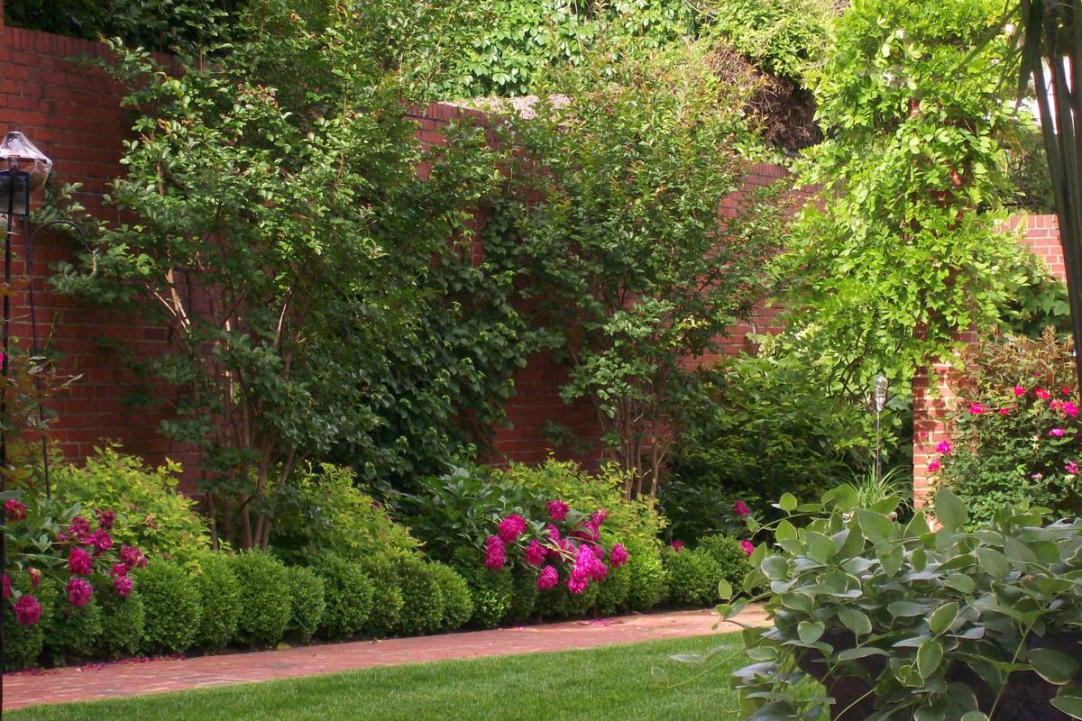 Huge brick walls softened with layers of trees, shrubs and perennials. : Georgetown and Capitol Hill Gardens : CITYSCAPES® Landscaping Inc.