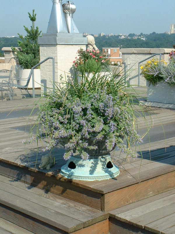 Carefully spaced planters allows lots of open space for entertaining on this NW penthouse rooftop. : Rooftop and Balcony Gardens : CITYSCAPES® Landscaping LLC