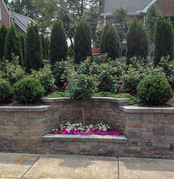 Various layers of plantings in the terraced beds gives visual interest. : Suburban Gardens : CITYSCAPES® Landscaping LLC