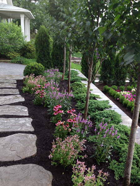 Perennials in the blue/purple/pink color palette. : Suburban Gardens : CITYSCAPES® Landscaping LLC