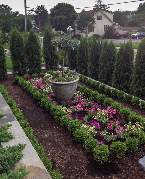 This terrace has a formal parterre for seasonal annuals and is bordered by English boxwood. : Suburban Gardens : CITYSCAPES® Landscaping LLC