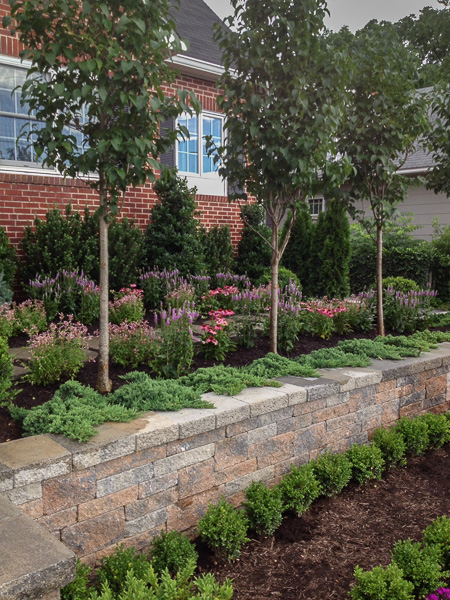 Horizontal stone walls create terraces on a massive hillside. : Suburban Gardens : CITYSCAPES® Landscaping LLC