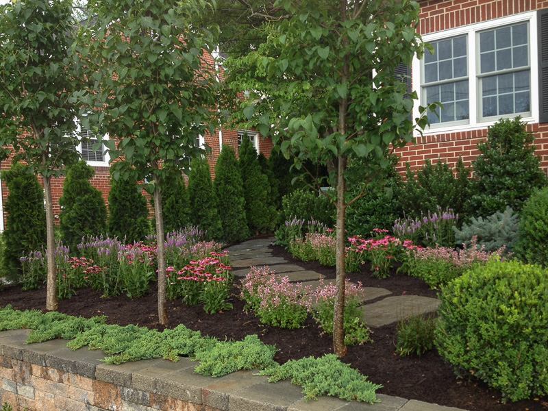Evergreen creeping Junipers will grow and cascade over the walls to soften the hardscape. : Suburban Gardens : CITYSCAPES® Landscaping LLC