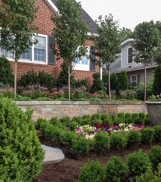 Silky Lilac trees line the top wall for additional privacy and windbreak. : Suburban Gardens : CITYSCAPES® Landscaping LLC