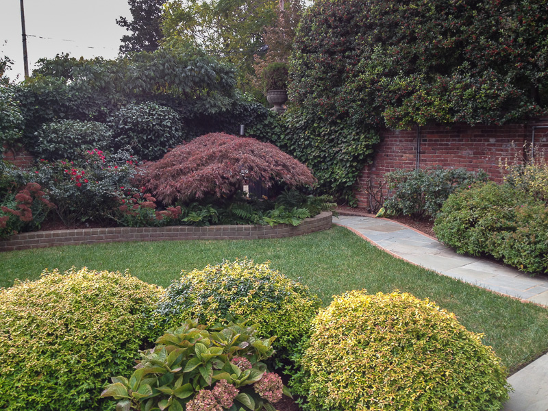 Regular pruning keeps this garden looking manicured. : Maintenance : CITYSCAPES® Landscaping LLC