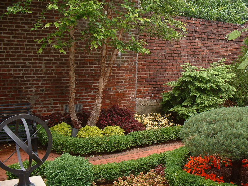 Mixed coleus and begonias for the summer garden. : Annuals : CITYSCAPES® Landscaping Inc.
