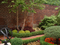 Mixed coleus and begonias for the shady parts of the garden.