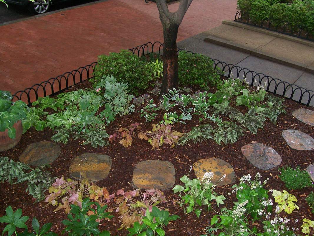 Another view of woodland garden in the city. : Front Gardens : CITYSCAPES® Landscaping Inc.