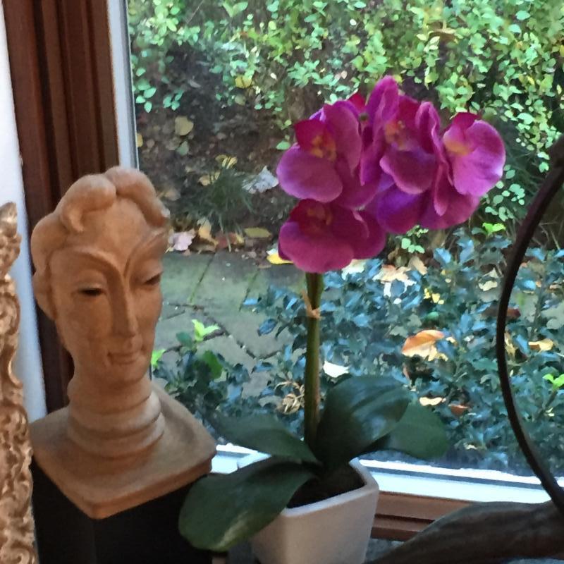 Faux orchid in a library.

 : Holiday Decorating, Faux Plant and Flower Installations : CITYSCAPES® Landscaping LLC