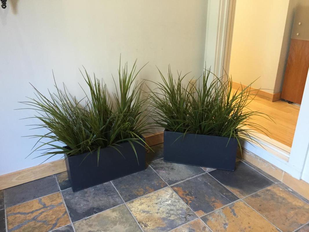 Faux grasses in an office vestibule
 : Faux Plants and Flowers : CITYSCAPES® Landscaping Inc.