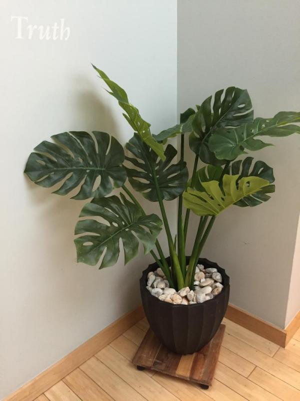 Faux phylodendron in an office lobby

 : Faux Plants and Flowers : CITYSCAPES® Landscaping Inc.