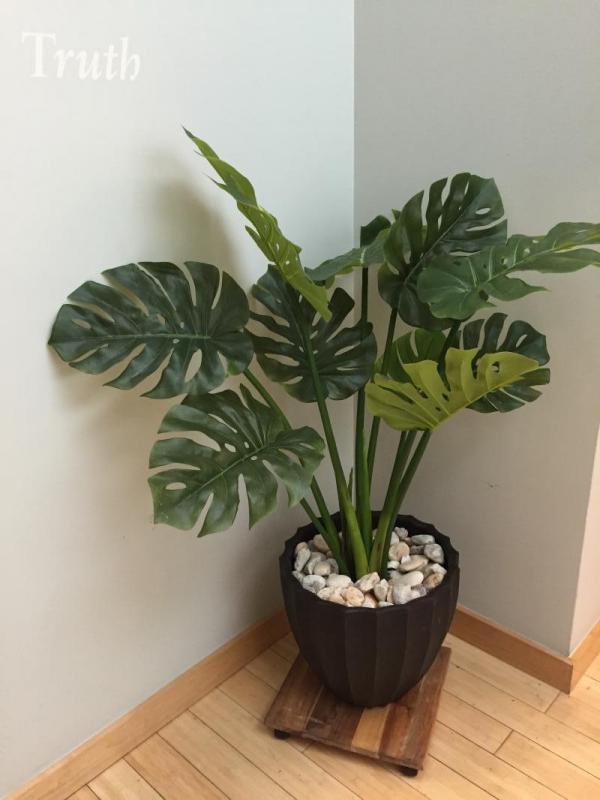 Faux phylodendron in an office lobby.

 : Holiday Decorating, Faux Plant and Flower Installations : CITYSCAPES® Landscaping LLC