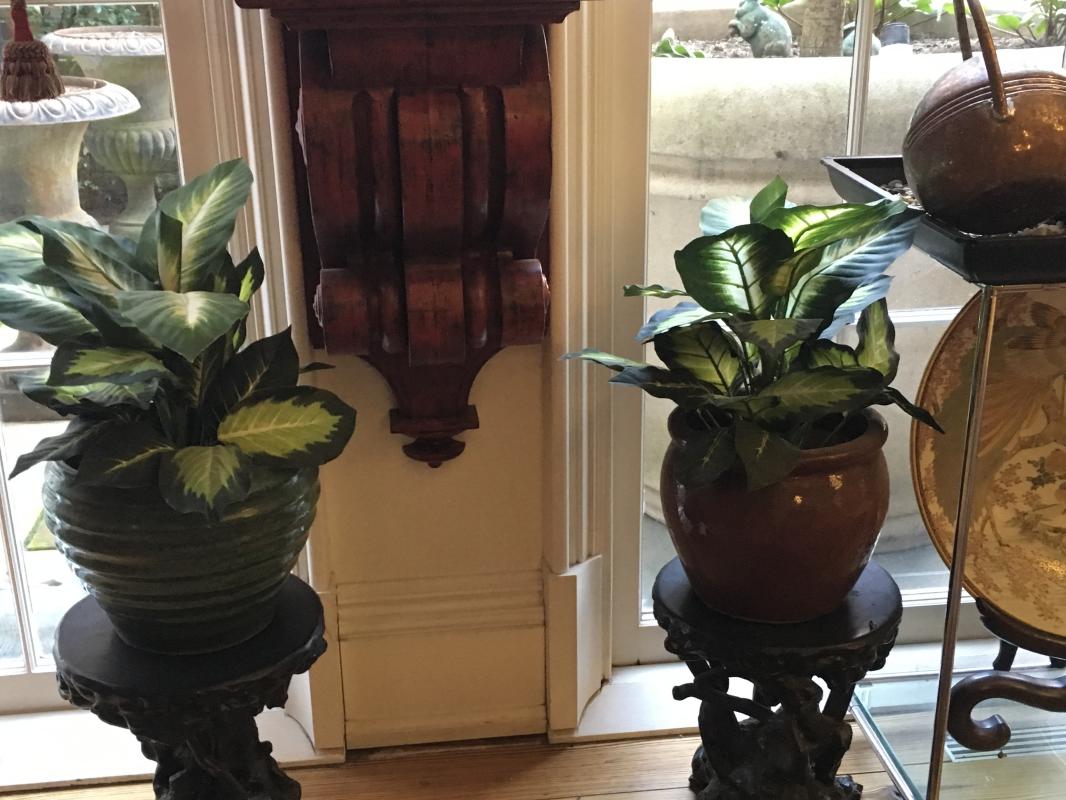 Faux Dieffenbachia in a home office.
  : Holiday Decorating, Faux Plant and Flower Installations : CITYSCAPES® Landscaping LLC