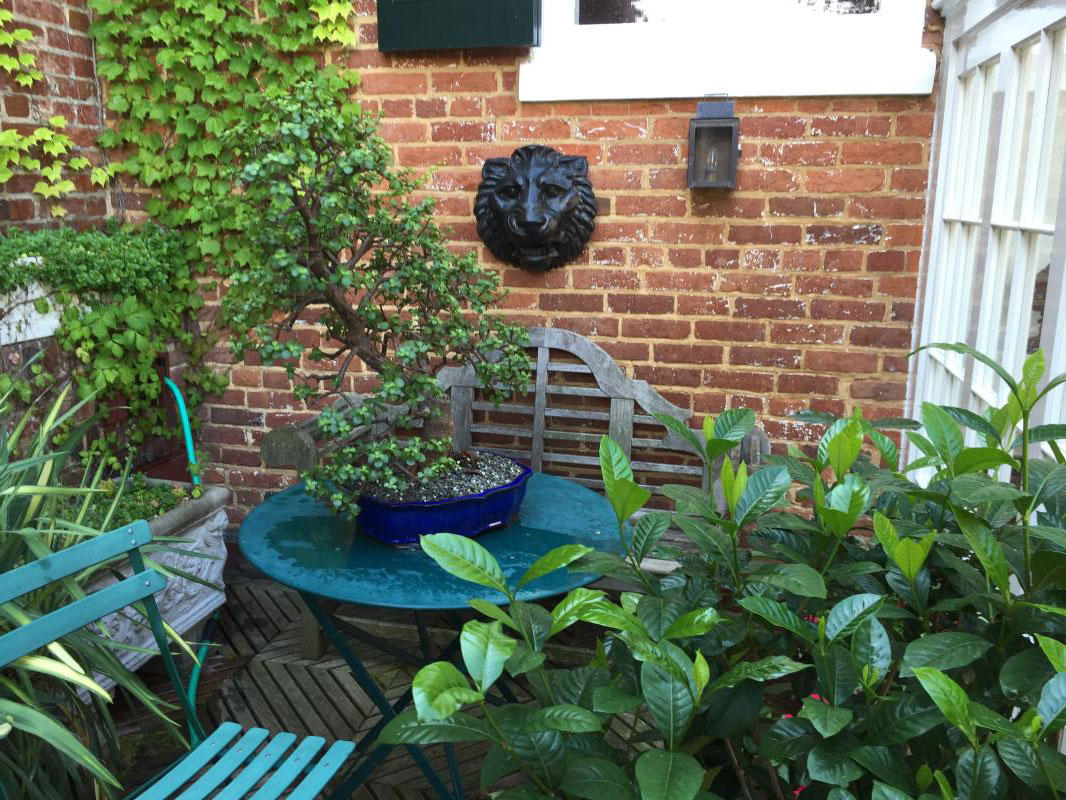 A special nook on this small roof deck. : Rooftop and Balcony Gardens : CITYSCAPES® Landscaping LLC